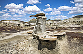 Unique rock formations, Bisti Badlands, Bisti/De-Na-Zin Wilderness, San Juan County; New Mexico, United States of America