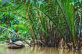 Boot im Fluss entlang des Ufers mit üppigen Wedeln, Mekong-Flussdelta; Vietnam