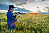 Ein Landwirt steht in einem Weizenfeld und benutzt bei Sonnenuntergang ein Tablet; Alberta, Kanada