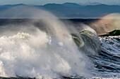 Anmutige Wellen brechen sich in Ufernähe, das Sonnenlicht beleuchtet das Wasser; Seaside, Oregon, Vereinigte Staaten von Amerika