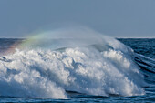 Eine sich schnell bewegende Welle trägt einen Gischtbogenhalo an der Küste von Oregon; Seaside, Oregon, Vereinigte Staaten von Amerika