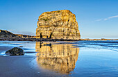 Marsden Rock, ein etwa 100 Fuß hoher Seestapel aus Periklas und Magnesia-Kalkstein, der etwa 100 Meter vor der Hauptklippenwand liegt; South Shields, Tyne and Wear, England