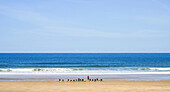 People taking an on-shore surfing lesson on the beach using surfboards with two instructors; South Shields, Tyne and Wear, England