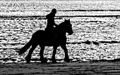 Silhouette eines Pferdes und eines Reiters an einem Strand, die am Wasser entlang reiten; Sunderland, Tyne and Wear, England