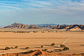 Elim dune, Namib Desert; Sesriem, Namibia