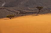Blick von der Düne 45, Sossusvlei, Namib-Wüste; Namibia