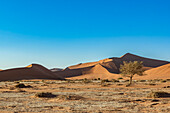 Dunes, Sossusvlei, Namib Desert; Namibia