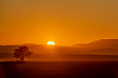 Sonnenaufgang in Aluvlei, Namib-Naukluft-Nationalpark; Namibia