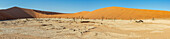Deadvlei, eine Pfanne aus weißem Lehm, umgeben von den höchsten Sanddünen der Welt, Namib-Wüste; Namibia