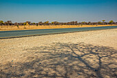 Baumschatten und Straße; Namibia