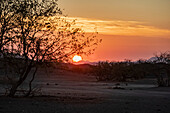 Sonnenuntergang im Damaraland; Kunene Region, Namibia