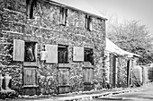 Black and white image of two horses (Equus Caballus) looking out of an old snow-covered stone stable building in winter; Rathcormac, County Cork, Ireland