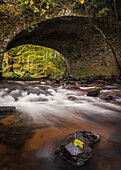An autumn leaf on a rock in a river flowing under a stone bridge, long exposure; Rathcormac, County Cork, Ireland