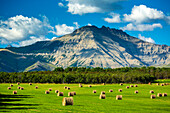 Heuballen auf einem grünen Feld mit Bergen, blauem Himmel und Wolken im Hintergrund, nördlich von Waterton; Alberta, Kanada