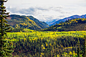 Autumn colours in a valley between mountains in Denali State Park; Alaska, United States of America