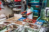 Fish seller in market; Hong Kong, China