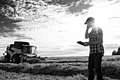 Ein Landwirt telefoniert und nutzt sein Tablet, um die Weizenernte zu steuern, während im Hintergrund ein Mähdrescher arbeitet: Alcomdale, Alberta, Kanada