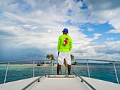 A man rides on the bow of a boat towards a small island with white sand and palm trees in the Caribbean Ocean; Belize