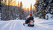 Snowmobile goes down a trail through a forest in winter at sunset; Sun Peaks, British Columbia, Canada