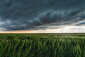 Dramatic skies over the midwest plains of the United States during tornado season. Amazing cloud formations show off mother nature's power and beauty; Nebraska, United States of America
