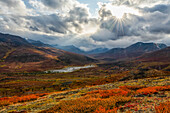 Die Herbstfarben tauchen die Landschaft entlang des Dempster Highway, Yukon, in Farbe. Dieser Ort ist zu jeder Jahreszeit wunderschön, aber im Herbst wirkt er ganz anders; Yukon, Kanada