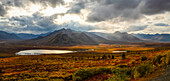 Herbstfarben tauchen die Landschaft des Dempster Highway in leuchtende Farben; Yukon, Kanada
