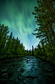 Aurora Borealis oder Nordlichter erhellen den nächtlichen Yukon-Himmel entlang des Dempster Highway; Yukon, Kanada