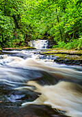 Fluss in einem Wald mit einem Wasserfall im Sommer, Langzeitbelichtung; Clare Glens, County Tipperary, Irland