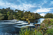 Kleiner Wasserfall am Fluss Shannon außerhalb von Castleconnell mit einem kleinen Wald im Hintergrund; Castleconnell, Limerick, Irland