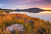 Kalksteinfelsen und langes Gras am Ufer eines Sees im Burren mit einem kleinen Felsenberg in der Ferne, der sich bei Sonnenaufgang im See spiegelt, Burren-Nationalpark; Grafschaft Clare, Irland