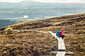 Einsame Wanderin mit Rucksack auf einem Holzsteg sitzend und eine Karte lesend, auf einem Berg an einem sonnigen Tag, mit einem Fluss und Feldern im Hintergrund; Killaloe, Clounty Clare, Irland