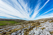 Karst limestone landscape of the burren on a blue sky clear summer day, Burren National Park; County Clare, Ireland