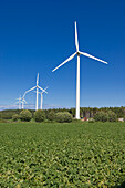 Windturbinen, Gaspe, Quebec, Kanada