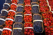 Blaubeeren und Erdbeeren auf dem Markt, Montreal, Québec, Kanada