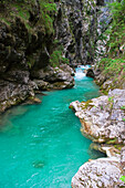 Soca-Fluss, Slowenien