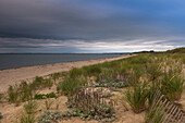 Strand mit Gras und Zaun, Cape Cod, Massachusetts, USA