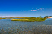 Landscape with Water and Grasses, Provincetown, Cape Cod, Massachusetts, USA