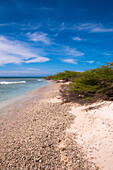Landschaftliche Küstenlinie, Arashi Beach, Aruba, Kleine Antillen, Karibik