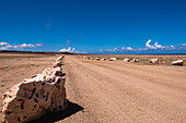 Felsbrocken entlang der Desert Road, Arikok National Park, Aruba, Kleine Antillen, Karibik