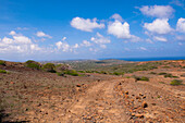 Dirt Road in Rugged Terrain, Arikok National Park, Aruba, Lesser Antilles, Caribbean