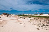 Scenic with Sand Dunes, Aruba, Lesser Antilles, Caribbean