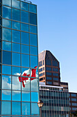 Nahaufnahme von Bürotürmen mit Himmel und kanadischer Flagge, die sich in den Fenstern spiegelt, Halifax, Nova Scotia, Kanada