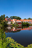 Seerosenblätter im Wasser, Nyborg, Insel Fünen, Dänemark