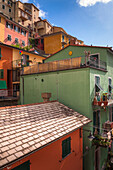 Houses, Manarola, Cinque Terre, La Spezia District, Italian Riviera, Liguria, Italy