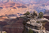 North Rim, Grand-Canyon-Nationalpark, Arizona, USA