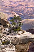 North Rim, Grand Canyon National Park, Arizona, USA