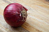 Red Onion, Birmingham, Alabama, USA
