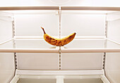 Alte Banane im leeren Kühlschrank