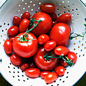 Tomaten im Sieb