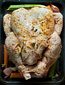 Raw Thanksgiving Day Turkey